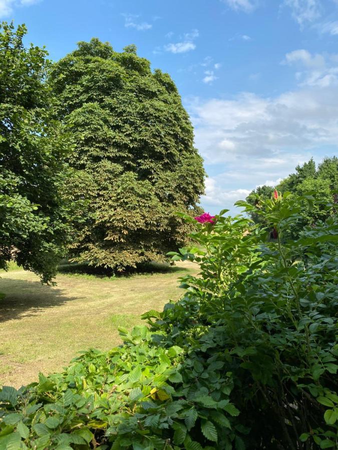 Altes Pastorat Schwichtenberg Borrentin Buitenkant foto